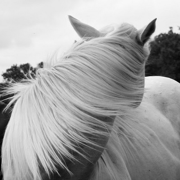 Meet your Posher, Amanda - Picture 1 of 1